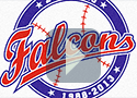Editing the Falcons logo